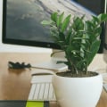 How Virtual Assistants Can Track, Organize, And Manage Custom Label Orders
