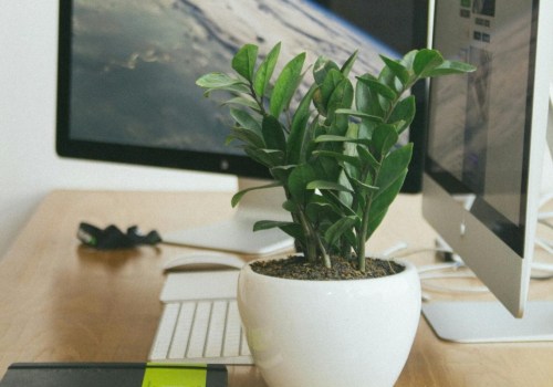 How Virtual Assistants Can Track, Organize, And Manage Custom Label Orders